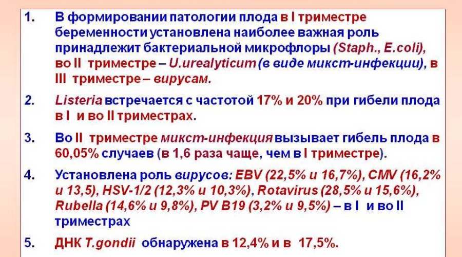 Антенатальная гибель плода: причины, симптомы и профилактика