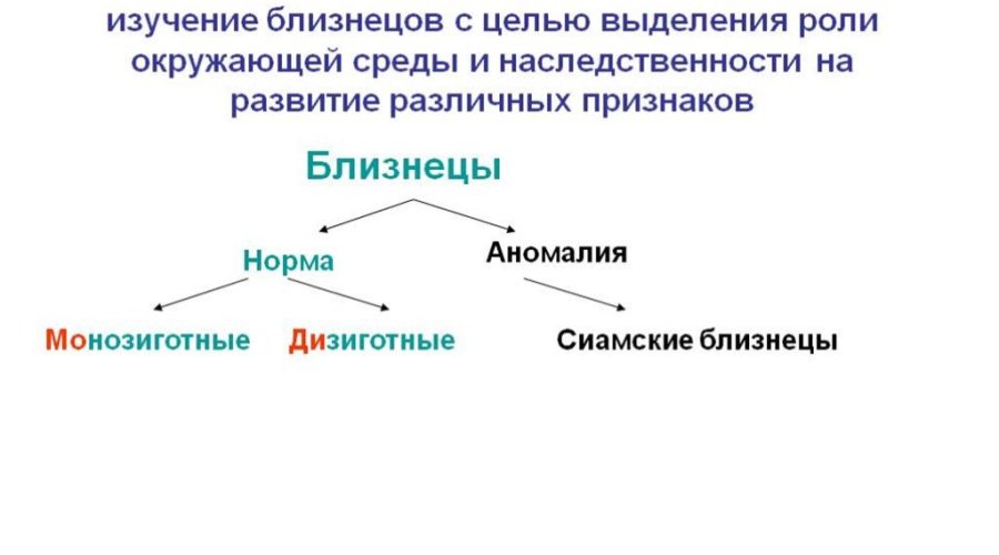 Близнецовый метод изучения наследственности человека