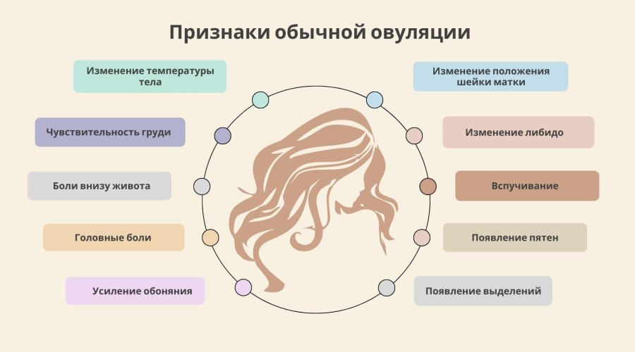 Боли при овуляции – норма или патология? Как понять и справиться с дискомфортом