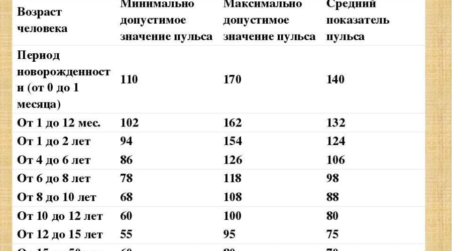 Частота пульса во время беременности: нормы и отклонения