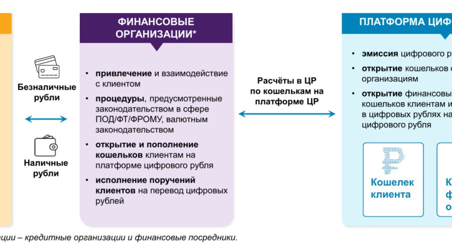Цифровой рубль: принцип работы и инструкция по использованию