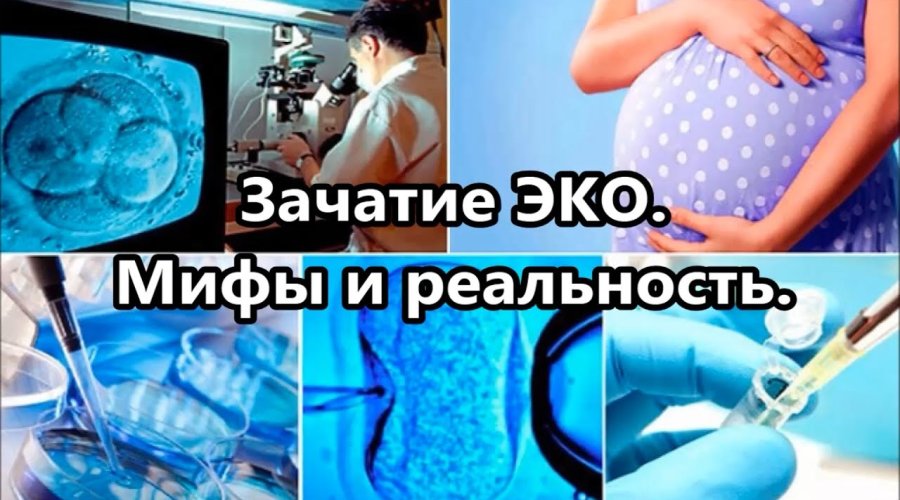 ЭКО: мифы и реальность