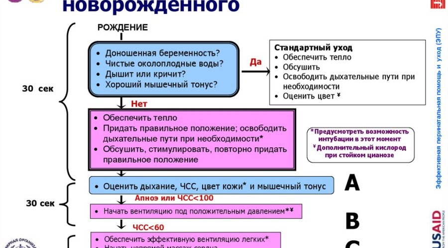 Этапы и методы реанимации новорожденных в родзале