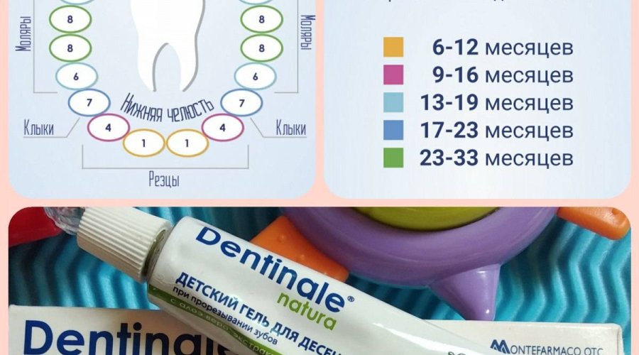 Гель для прорезывания зубов: какой выбрать