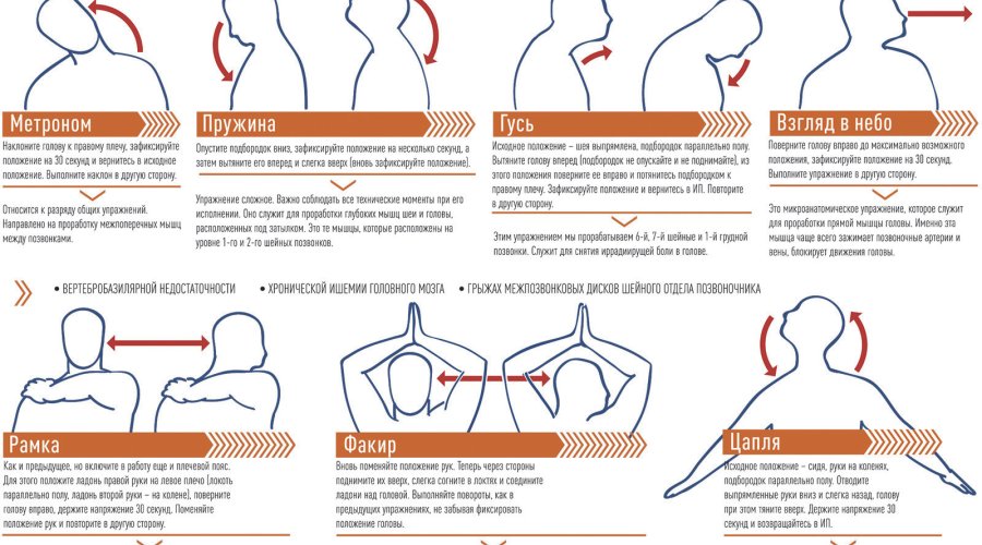 Гимнастика для шеи от доктора А. Ю. Шишонина: эффективные упражнения для здоровой и гибкой шейной области