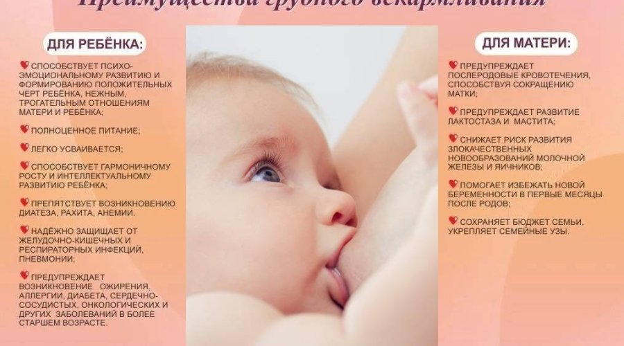 Грудное вскармливание новорожденных: важная информация для мам