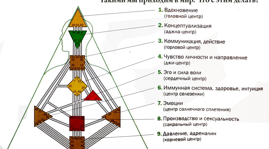 Инструкция к себе — узнайте, что такое дизайн человека и каким образом он влияет на нашу жизнь