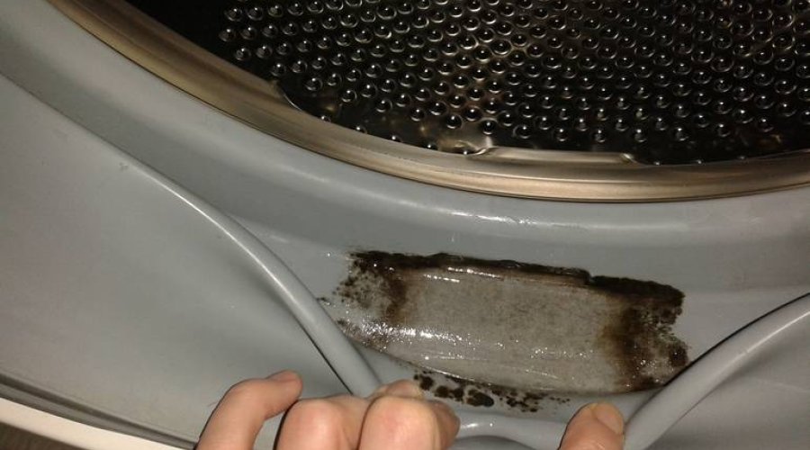Избавление от плесени в стиральной машине: эффективная инструкция