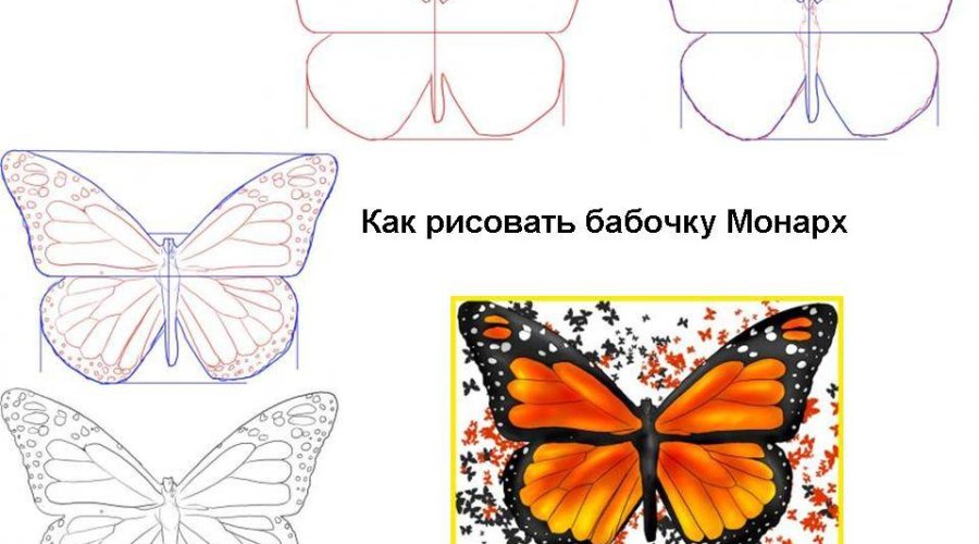 Как нарисовать бабочку за несколько шагов: пошаговая инструкция