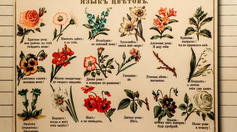 Как научиться «читать по букету»: язык цветов и его тайны