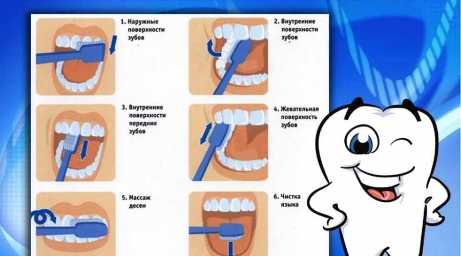 Как правильно чистить зубы: подробная инструкция
