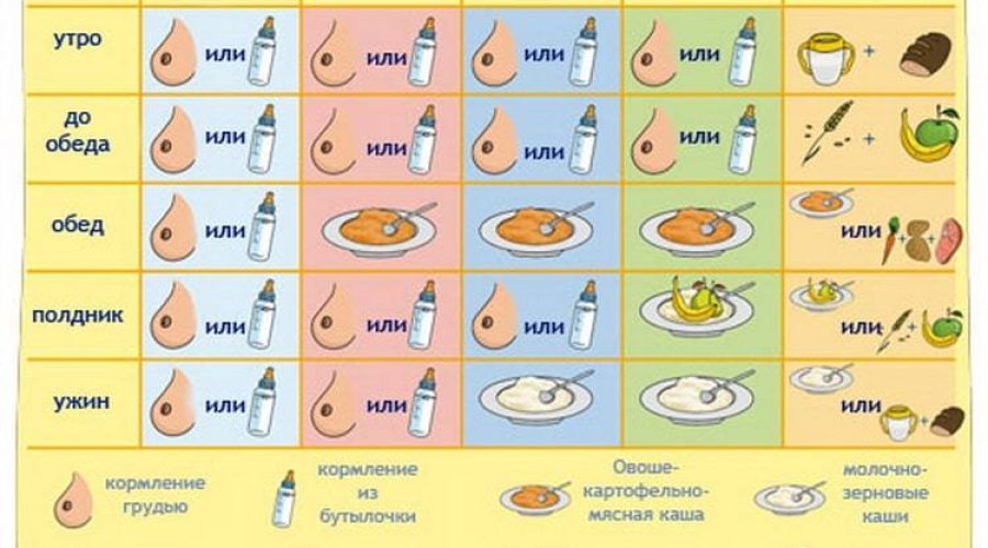 Как правильно вводить прикорм грудничку: советы и рекомендации