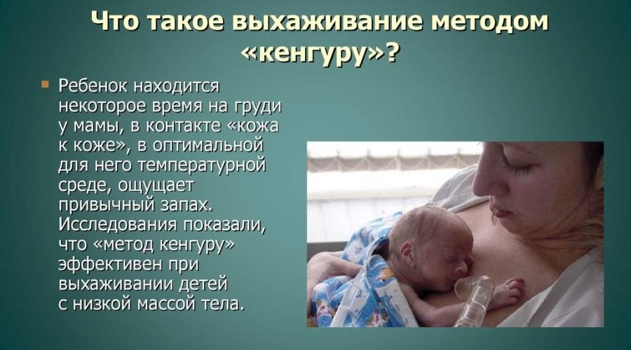 Как правильно выхаживать недоношенных детей методом кенгуру