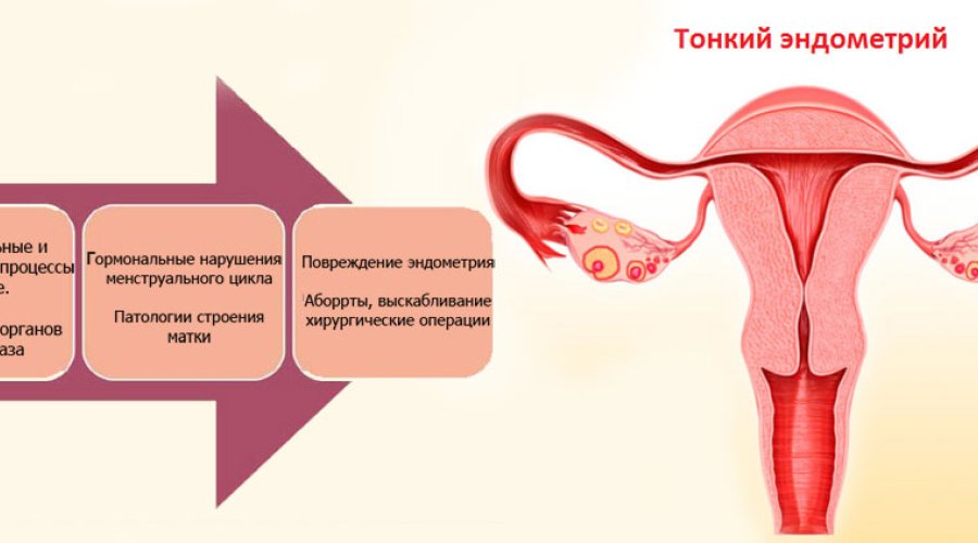 Как увеличить эндометрий: эффективные методы и советы