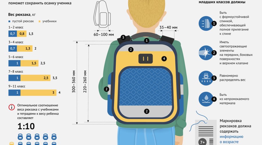 Как выбрать подходящий рюкзак или ранец для ребенка в школу?