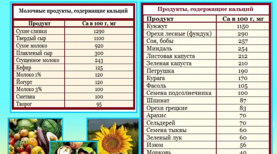 Кальций в продуктах: его значение для организма и источники питания