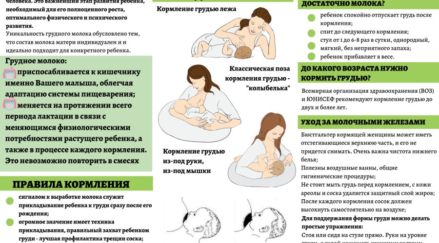 Кормление малыша грудью: правила и инструкция для мам