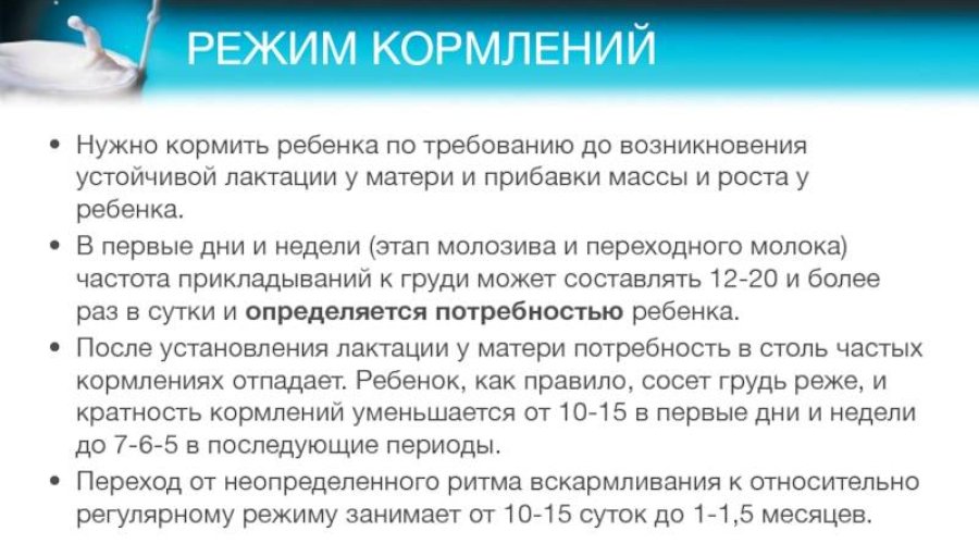 Кормление по требованию или по расписанию — что эффективнее для малыша?