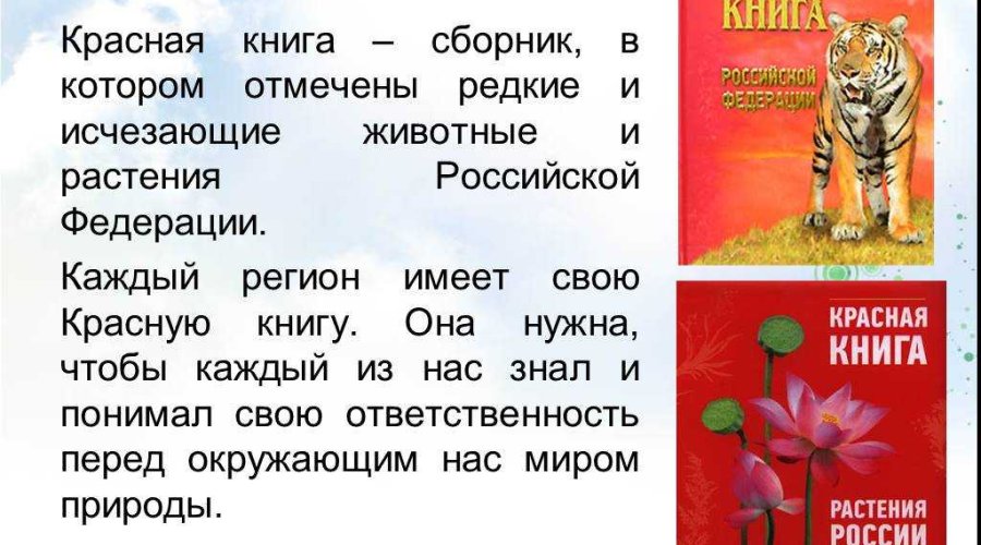 Красная книга России: все, что вам нужно знать о ней