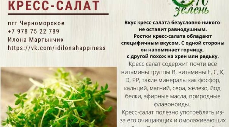 Кресс-салат: полезные свойства и рецепты для красоты и здоровья