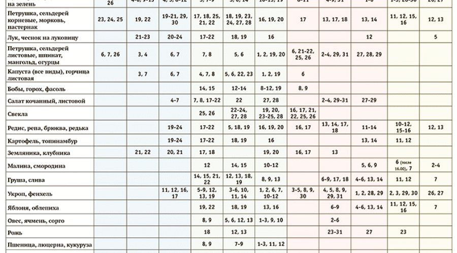 Лунный посевной календарь огородника 2024: благоприятные дни для посадки