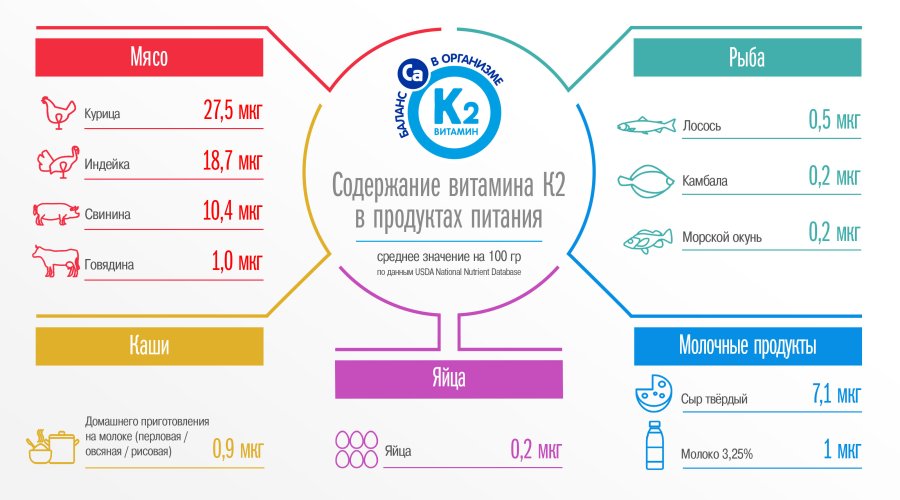 Малоизучен, но важен — зачем нужен витамин К2