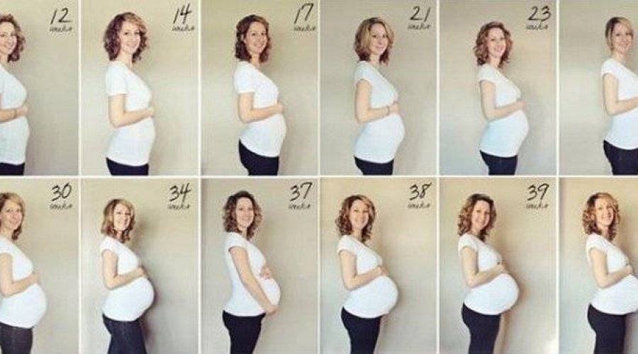 На каком сроке беременности живот начинает расти