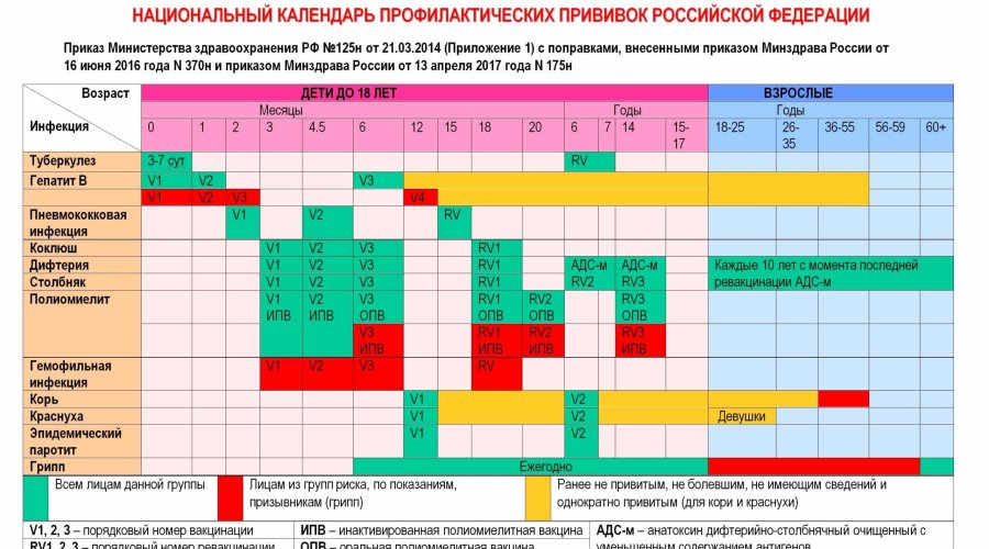 Национальный календарь прививок: обязательные и рекомендуемые для детей и взрослых