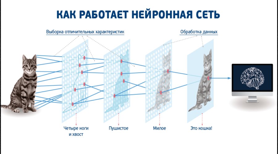 Нейросеть: принцип работы и области применения