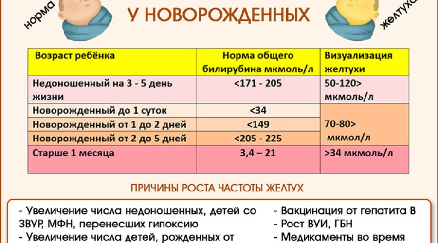 Норма билирубина у новорожденных и последствия повышенного показателя