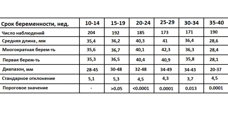 Норма длины шейки матки при беременности: все, что необходимо знать