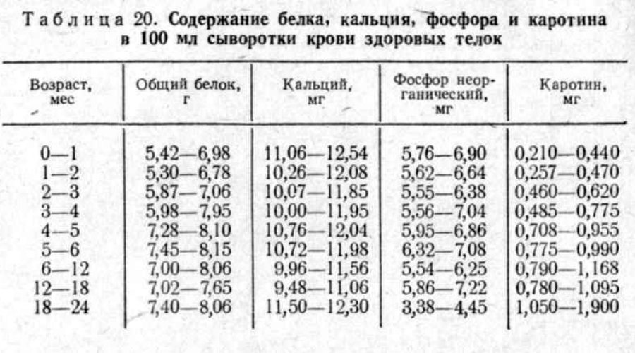 Норма кальция в крови у детей: понимание анализов и возможные отклонения