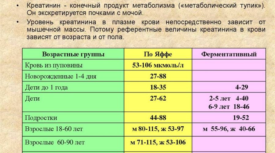 Норма уровня креатинина у женщин в крови и моче: все, что нужно знать