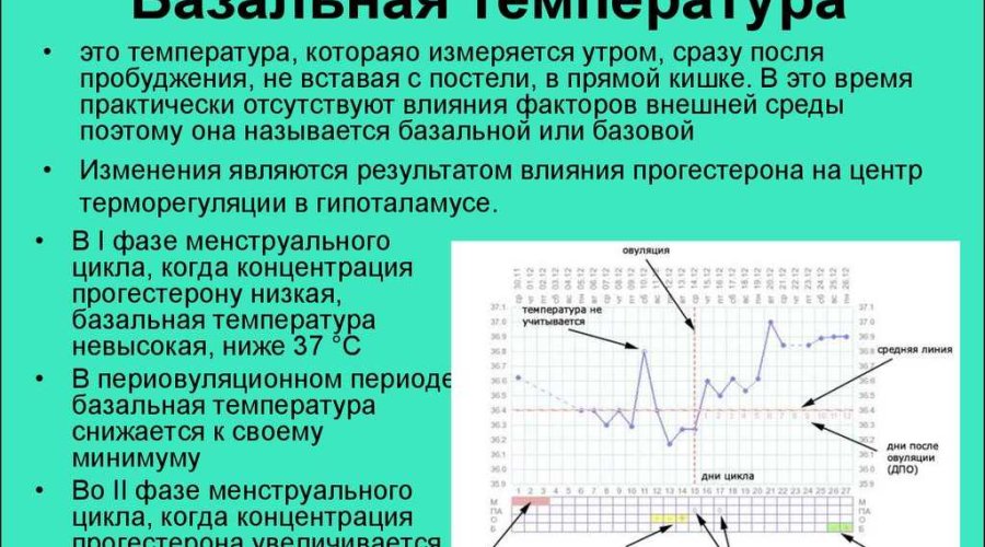 О чем говорит базальная температура при овуляции | Влияние базальной температуры на определение овуляции