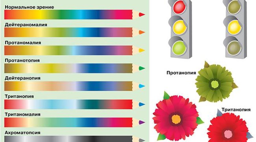 Определяем дальтонизм у ребенка: основные признаки и методы диагностики