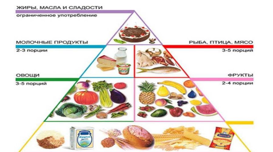 Основные принципы питания по методу Помрой: сбалансированный рацион и правильные продукты