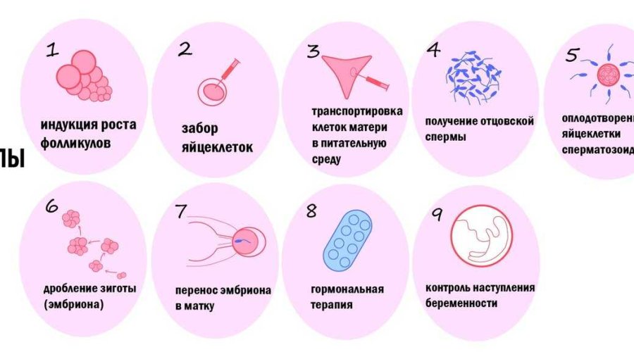 Особенности криоконсервации эмбрионов в естественном цикле: методы и результаты
