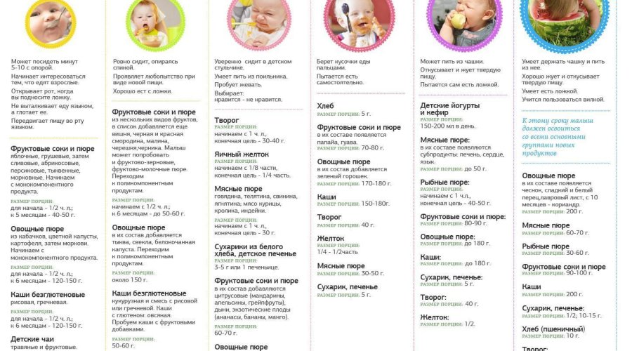 Особенности прикорма малышей в 6 месяцев: полезные советы