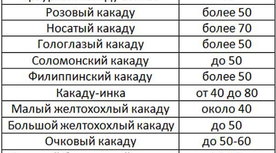 От чего зависит продолжительность жизни попугаев и как её увеличить