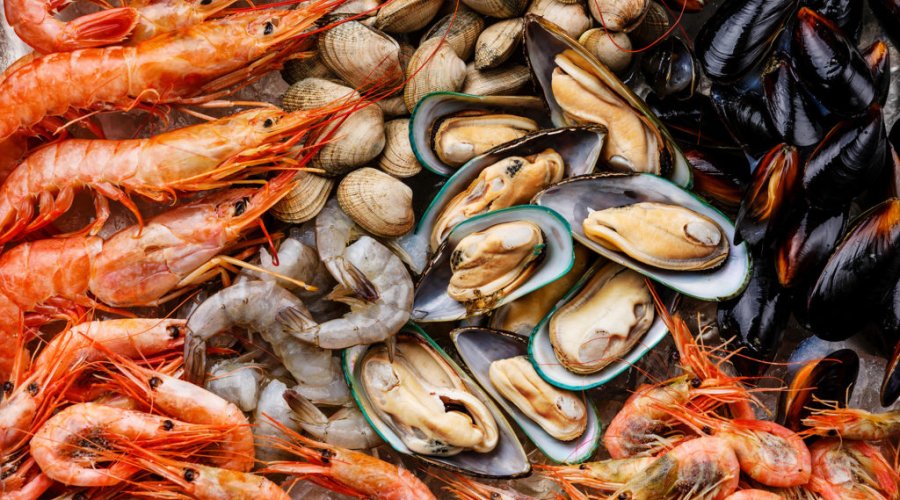 От моллюска до ламинарии: 20+ самых вкусных и полезных морепродуктов