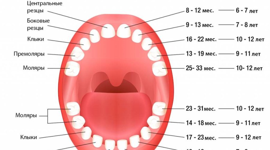 Почему молочные или коренные зубы у ребенка стали желтыми