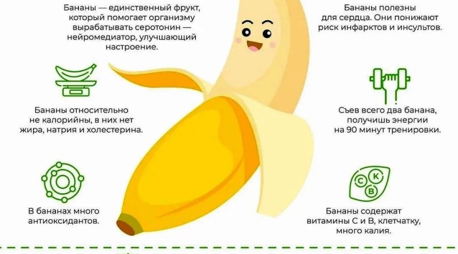 Полезные свойства бананов: для здоровья, кожи и пищеварения