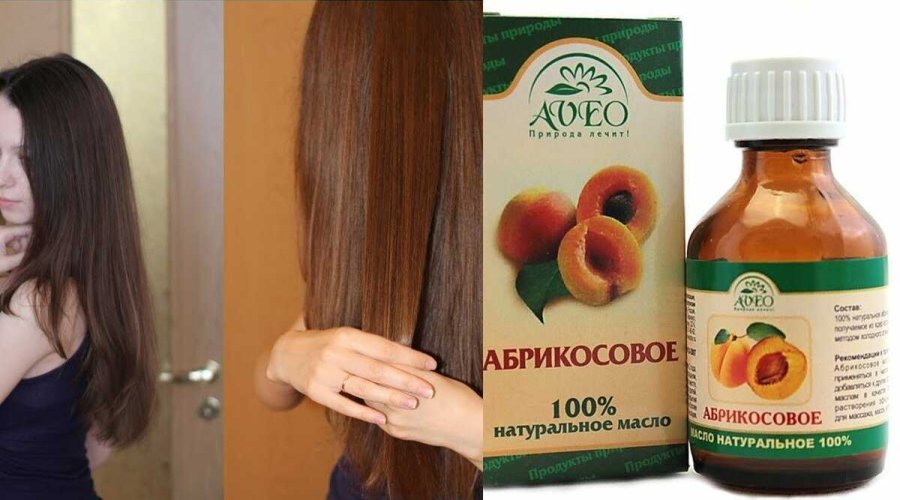 Польза и применение абрикосового масла для волос: секреты питания и лечения