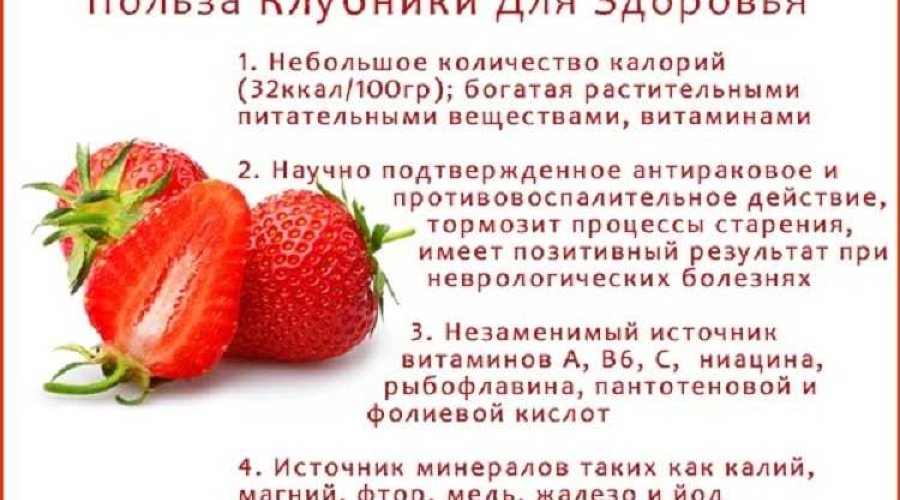 Польза и вред клубники для здоровья: открываем секреты любимой ягоды