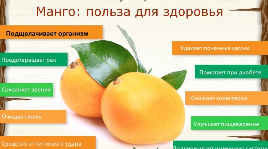 Польза и вред манго во время беременности: преимущества и рекомендации