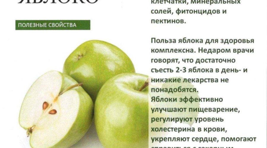 Польза яблок для организма: вред и разнообразие сортов