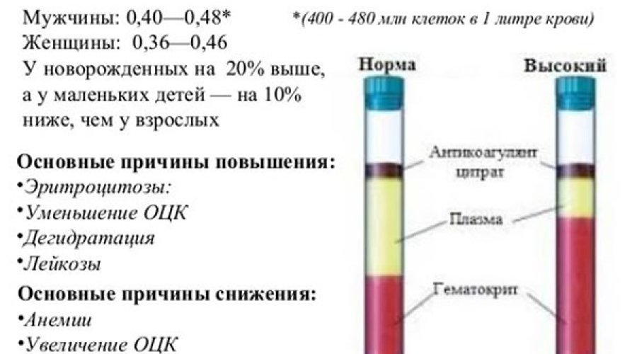 Пониженный гематокрит у ребенка: причины отклонений