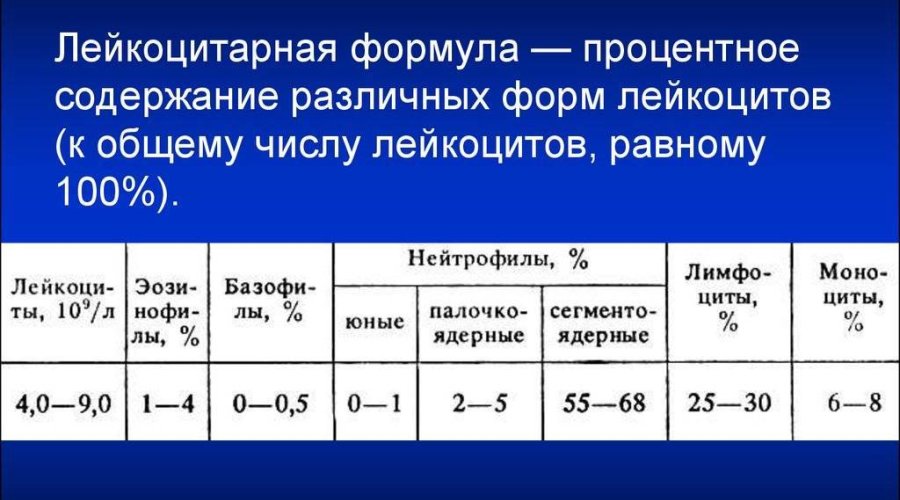 Повышение нейтрофилов у ребенка: причины, диагностика, лечение