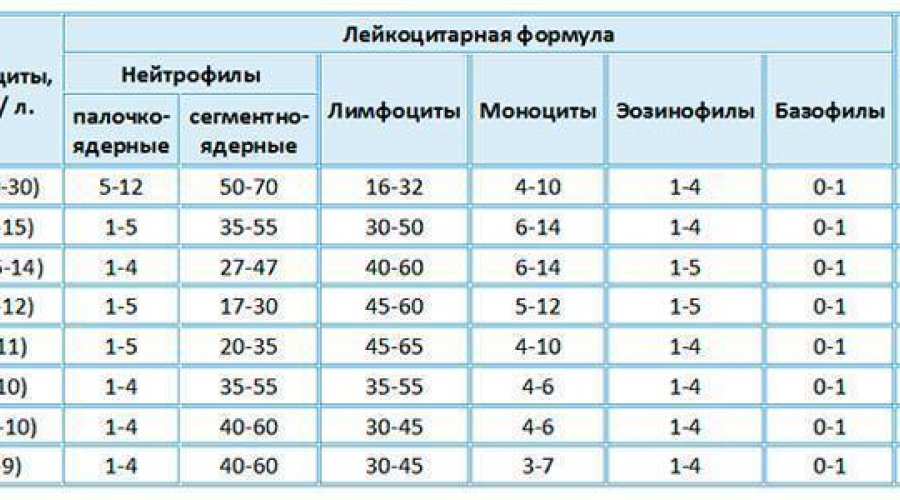 Повышенные лейкоциты в крови у новорожденного: причины, симптомы и лечение