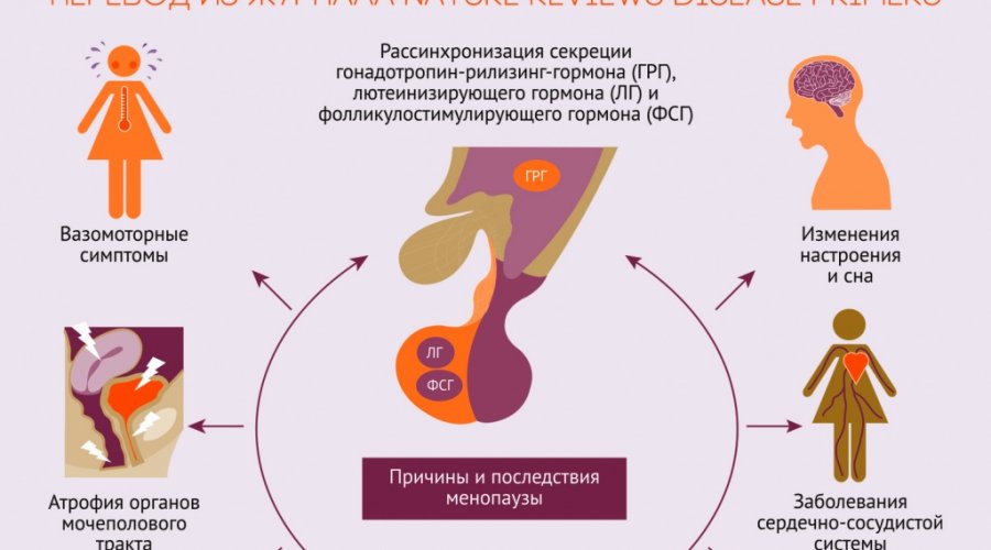 Причины и эффективное лечение раннего климакса у женщин